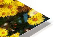 V460 HD Metal print