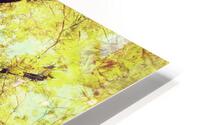V463 HD Metal print