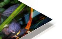 V464 HD Metal print