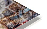 V466 HD Metal print