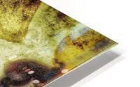 V469 HD Metal print