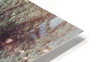 V470 HD Metal print
