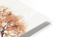 V478 HD Metal print