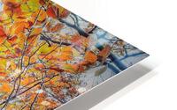 V482 HD Metal print