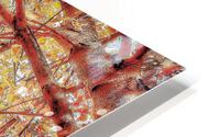 V483 HD Metal print