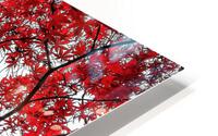 V484 HD Metal print