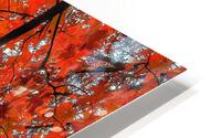 V485 HD Metal print