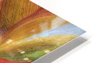 V489 HD Metal print