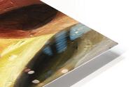 V490 HD Metal print