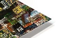 V492 HD Metal print