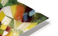 V496 HD Metal print