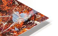 V517 HD Metal print