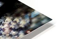 V532 HD Metal print