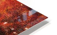V534 HD Metal print