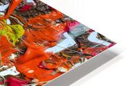 V539 HD Metal print