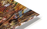 V542 HD Metal print