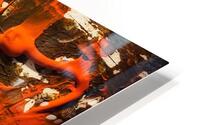 V544 HD Metal print