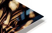 V556 HD Metal print