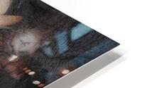 V610 HD Metal print