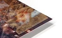 V612 HD Metal print