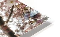V619 HD Metal print