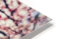 V621 HD Metal print