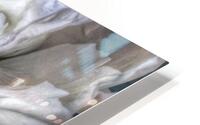 V643 HD Metal print