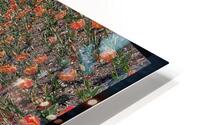 V652 HD Metal print