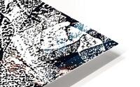 V655 HD Metal print