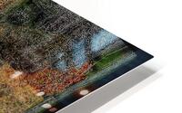 V657 HD Metal print
