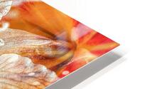 V658 HD Metal print
