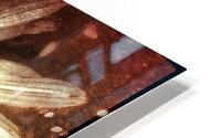 V659 HD Metal print