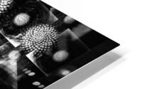 V663 HD Metal print