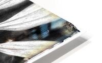 V666 HD Metal print