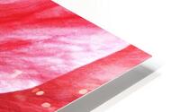 V669 HD Metal print