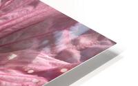 V688 HD Metal print