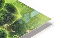 V692 HD Metal print