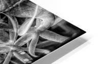 V695 HD Metal print