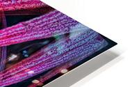 V697 HD Metal print