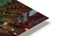 V711 HD Metal print