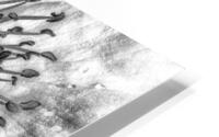 V714 HD Metal print