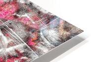 V744 HD Metal print