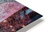 V747 HD Metal print