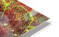 V750 HD Metal print