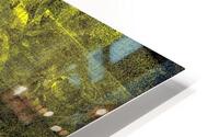 V755 HD Metal print