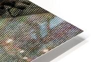 V768 HD Metal print