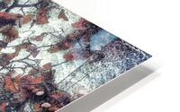 V796 HD Metal print