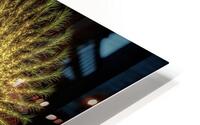 V811 HD Metal print