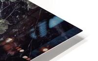 V814 HD Metal print