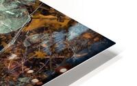 V821 HD Metal print